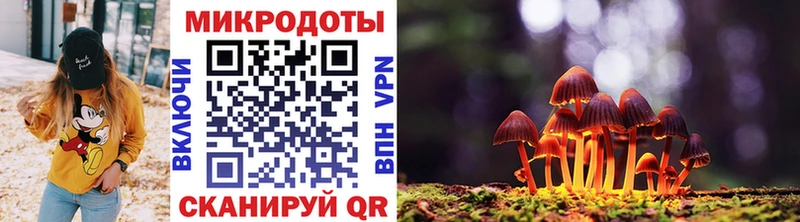 Псилоцибиновые грибы Cubensis  Белоусово 